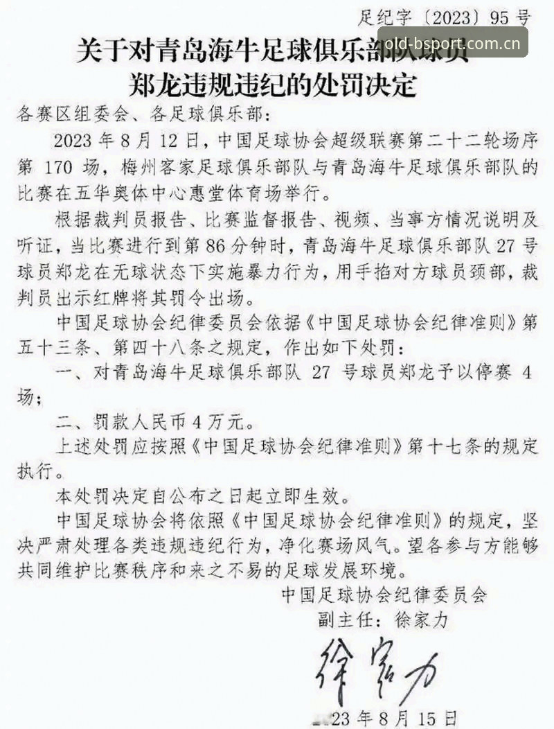 资深用户分享：从足协禁足名单看B体育苹果版上的中超生态净化